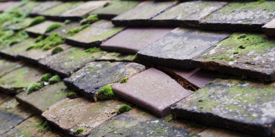 Wingfield roof repair costs